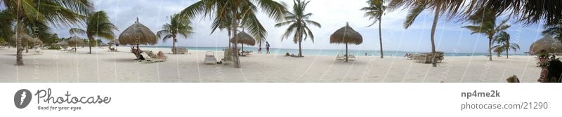 Strand Aruba Palme Liegestuhl Weitwinkel Sand Graffiti