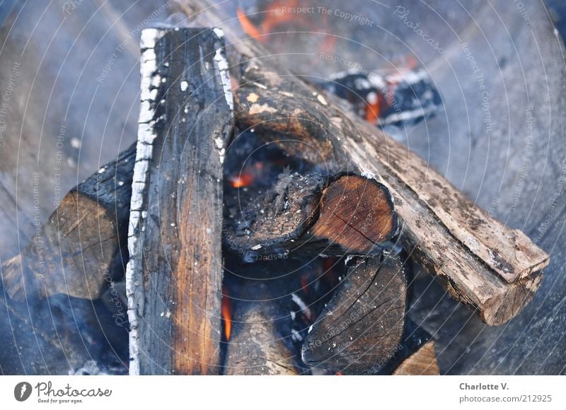 Feuerstelle anzünden Brennholz Rauch Holz heiß Wärme grau rot brennen glühen glühend Glut Farbfoto Gedeckte Farben Außenaufnahme Nahaufnahme Menschenleer Abend