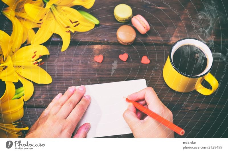 weibliche Hände mit einem roten Stift Dessert Kaffeetrinken Tasse schön Dekoration & Verzierung Hand Natur Pflanze Blume Blatt Papier Blumenstrauß frisch hell