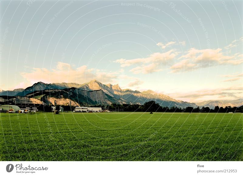 falknis Natur Landschaft Erde Himmel Wolken Sommer Wetter Schönes Wetter Pflanze Baum Gras Wiese Feld Felsen Berge u. Gebirge Industrieanlage Fabrik Gebäude