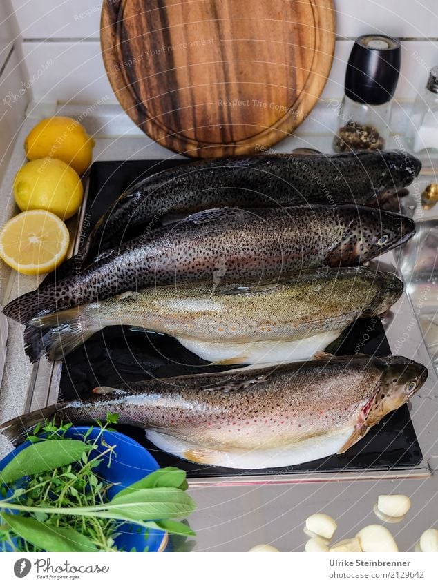 Frischer Fisch 1 Lebensmittel Kräuter & Gewürze Forelle Ernährung Schalen & Schüsseln Küche Essen Wildtier Totes Tier 4 liegen natürlich Sauberkeit Vorfreude