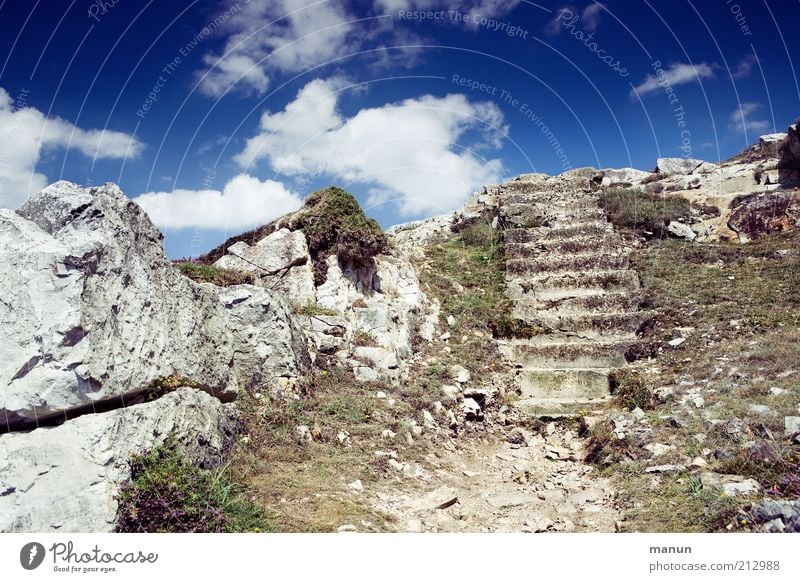 Stufenrest / Atlantikwall Tourismus Ausflug Ferne Sommerurlaub Treppe Kriegsschauplatz Umwelt Natur Landschaft Urelemente Hügel Felsen Berge u. Gebirge Gipfel