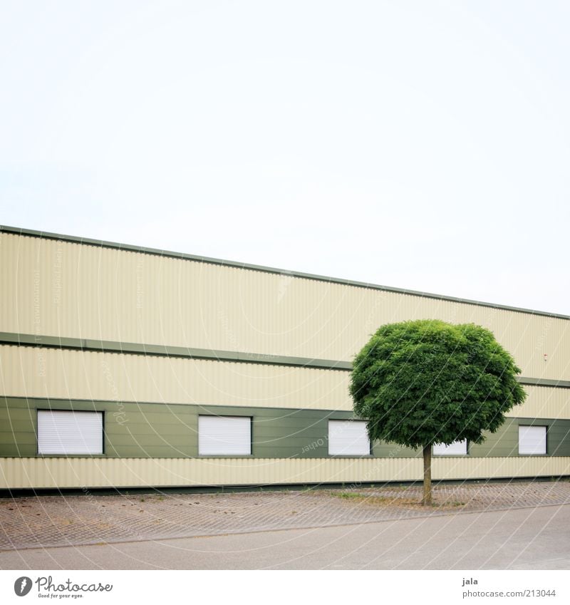 versuchter purismus Himmel Baum Menschenleer Fabrik Platz Bauwerk Gebäude Architektur Fassade Fenster ästhetisch modern grau puristisch Linie Farbfoto