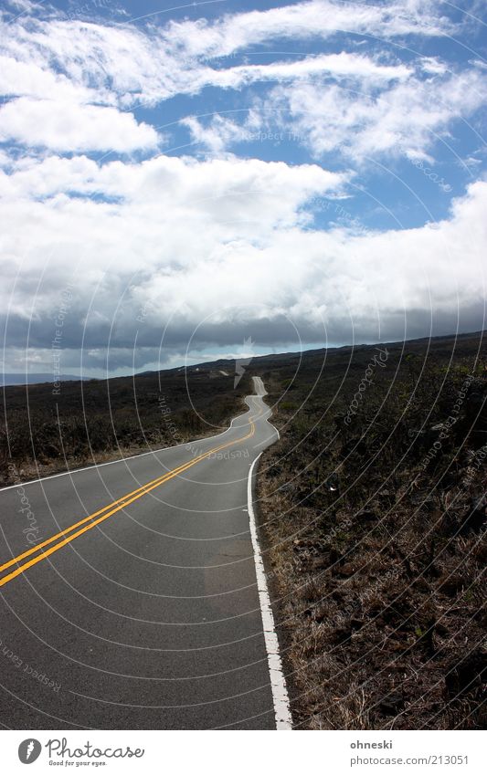 Straßenbaukunst Landschaft Erde Himmel Wolken Maui Verkehr Verkehrswege Wege & Pfade Ferne Kurve wellig Farbfoto Ziel Menschenleer Wolkenhimmel Straßenrand lang