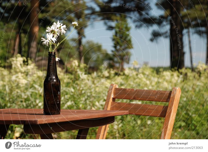 jag älskar sverige! Natur Landschaft Pflanze Schönes Wetter Baum Blume Blüte Garten Park Wiese Wald Blumenstrauß Vase Tisch Stuhl Holz Feste & Feiern genießen