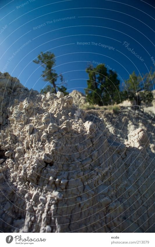 Badlanderosion Umwelt Natur Himmel Wolkenloser Himmel Sommer Schönes Wetter Wärme Baum Felsen Berge u. Gebirge Ödland natürlich blau grau grün