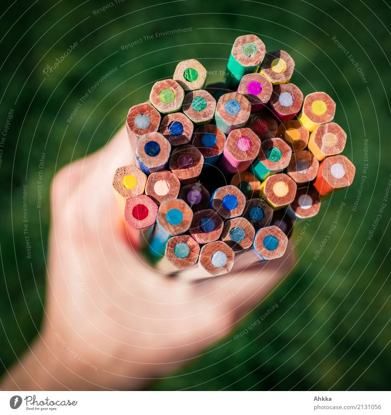 Eine Hand hält viele bunte Buntstifte, grüner Hintergrund Reichtum Freizeit & Hobby Handarbeit Bildung Schule lernen Studium Farbstift wählen zeichnen