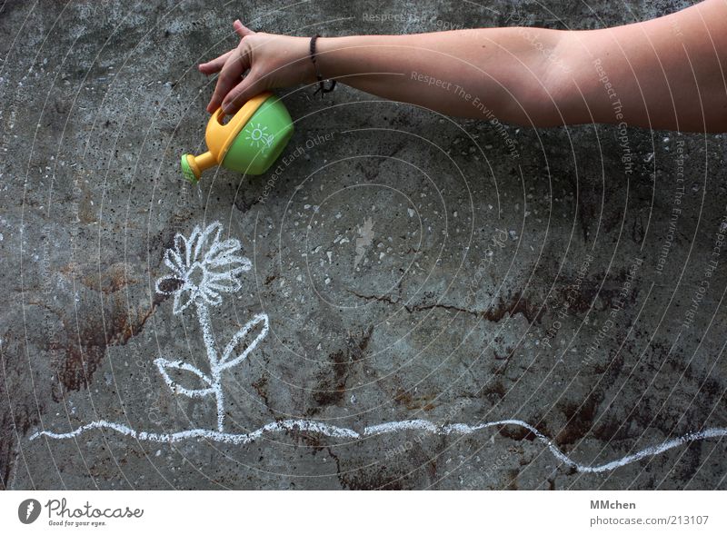 let it grow Pflanze Blume Beton Graffiti Wachstum grau achtsam gewissenhaft Umwelt Kreide Wand Gießkanne gießen kümmern Jungpflanze Arme gelb grün Farbfoto