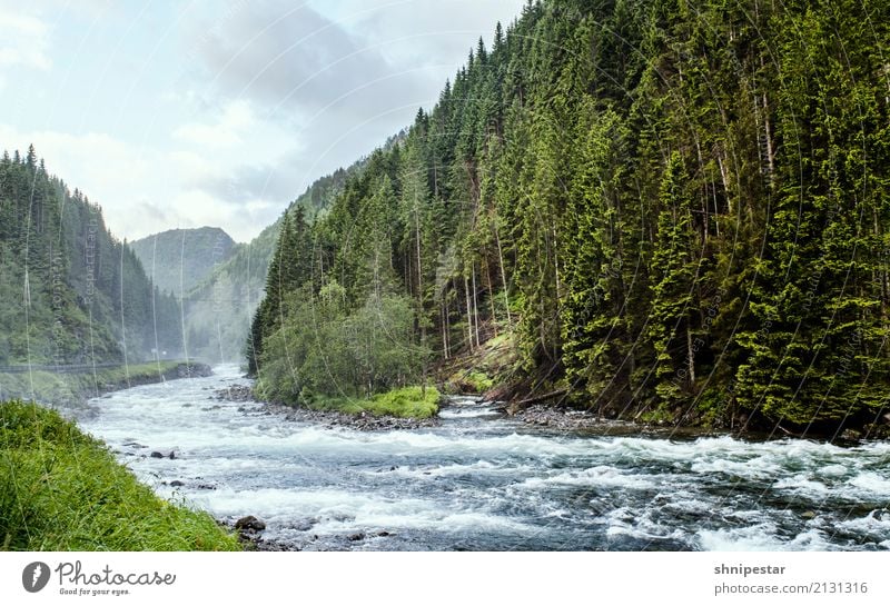 Wildwasser in Norwegen Rafting Raftingfahrer Ferien & Urlaub & Reisen Tourismus Ausflug Abenteuer Expedition Berge u. Gebirge wandern Sport Fitness