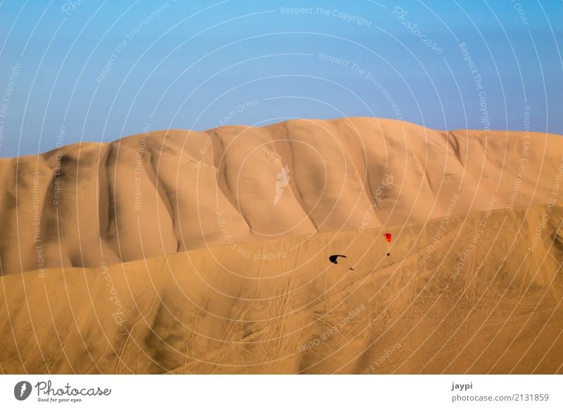 Wüstenflug Gleitschirm Gleitschirmfliegen Abenteuer Freiheit Umwelt Landschaft Sand Wolkenloser Himmel Schönes Wetter Düne Fluggerät dehydrieren trocken Wärme