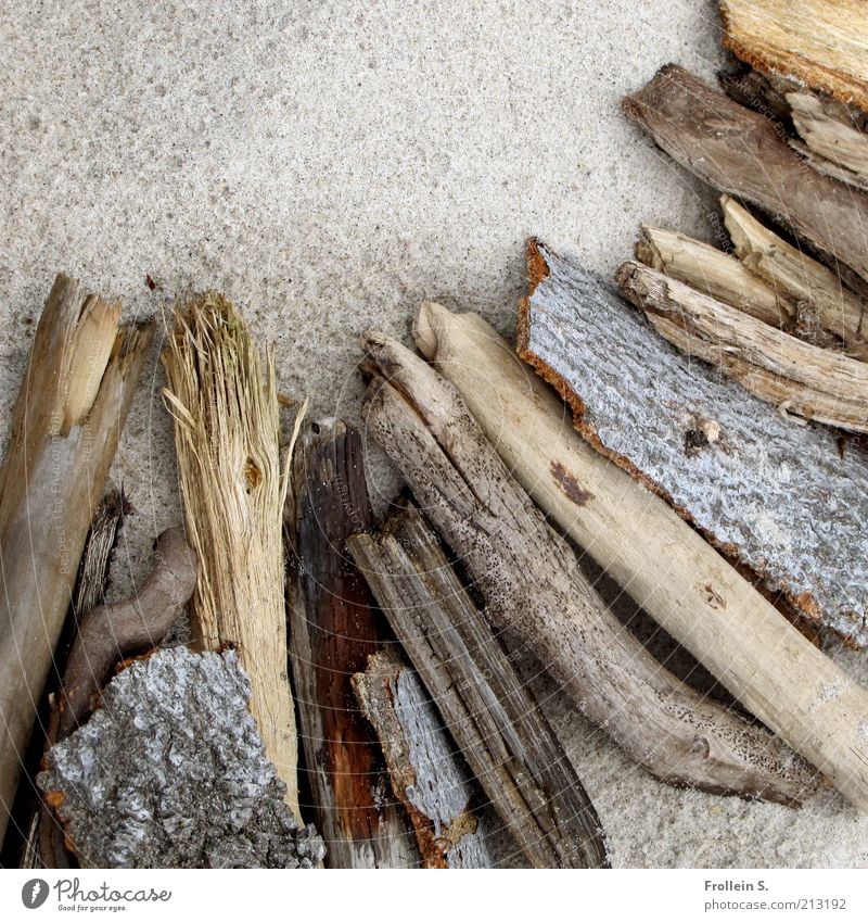 Treibholz Natur Sand Holz authentisch einfach natürlich braun grau ästhetisch Zufriedenheit ruhig Gedeckte Farben Außenaufnahme Nahaufnahme Strukturen & Formen