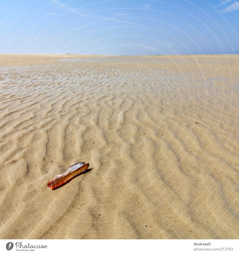 Wattenmeer Erholung ruhig Ferien & Urlaub & Reisen Ferne Sommer Strand Meer Insel Natur Landschaft Sand Wasser Himmel Horizont Küste Nordsee Muschel Ebbe Borkum