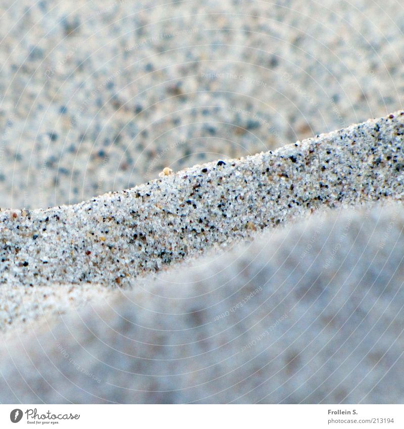 Körnchen für Körnchen Natur Urelemente Sand Sommer Schönes Wetter Strand Ostsee einfach nah natürlich grau ruhig Ferien & Urlaub & Reisen Gedeckte Farben