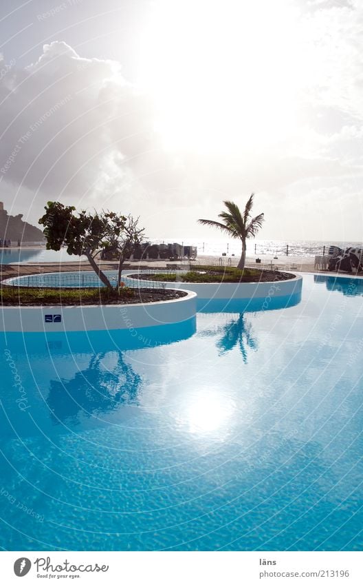 schön frisch Ferien & Urlaub & Reisen Tourismus Schwimmbad Himmel Wolken Palme Küste Meer blau Erholung Freizeit & Hobby Wasser türkis Sonne Wasseroberfläche