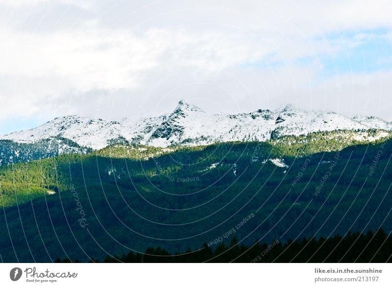 Zucker auf den Bergen Zufriedenheit Erholung ruhig Duft Ferien & Urlaub & Reisen Ferne Freiheit Sommer Schnee Berge u. Gebirge Umwelt Natur Landschaft Himmel