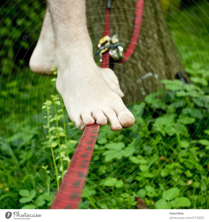 Balance Freizeit & Hobby Sommer Sport Mensch Junger Mann Jugendliche Fuß 1 stehen standhaft Seiltänzer Behaarung Zehen rot grün gespannt Barfuß Farbfoto