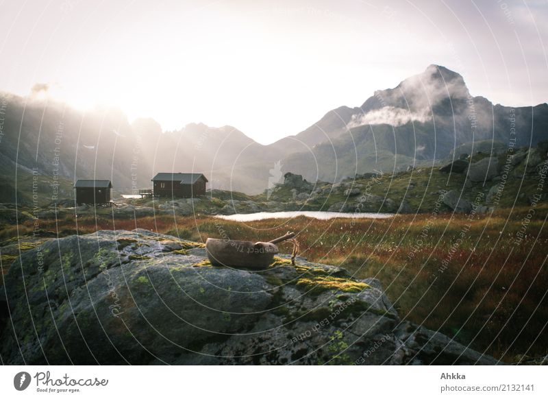 Dort, wo es schön ist Abendessen Ferien & Urlaub & Reisen Landschaft Sonnenaufgang Sonnenuntergang Wetter Felsen Gipfel Moor Sumpf Lofoten Hütte atmen Erholung