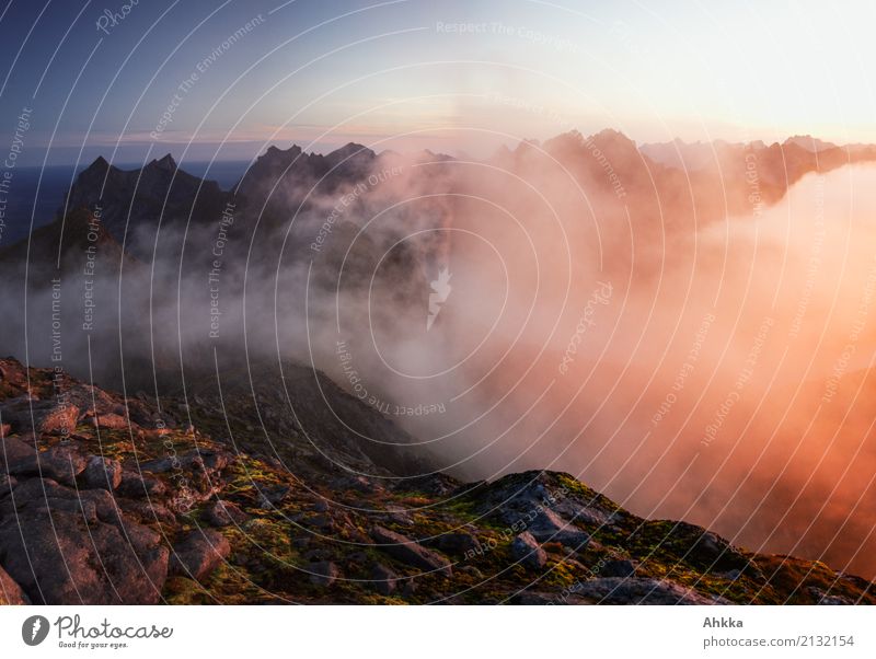 Vor Sonnenaufgang Landschaft Urelemente Wolken Nachthimmel Sonnenuntergang Klima Wetter Berge u. Gebirge Lofoten Gipfel leuchten ästhetisch exotisch fantastisch