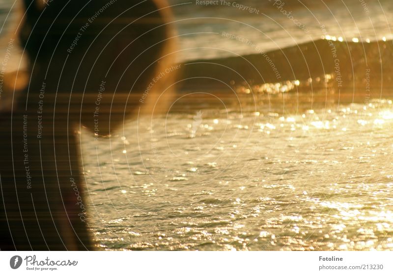 Sommertraum Mensch Kind Mädchen Kindheit Kopf Natur Urelemente Wasser Wellen Strand Ostsee Meer heiß nass natürlich Wärme gelb gold schwarz träumen Traumwelt