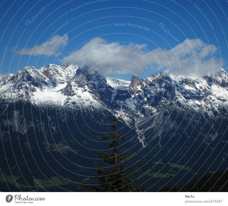 Alpenblick Umwelt Natur Landschaft Wolken Baum Berge u. Gebirge Österreich Schneebedeckte Gipfel August Sonnenlicht Panorama (Aussicht) monumental groß Sommer