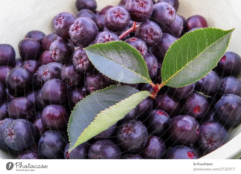 Aronia - Apfelbeere Lebensmittel Frucht Bioprodukte Vegetarische Ernährung Sommer kaufen Gesundheit blau violett apfelbeere aronia Blatt Schalen & Schüsseln