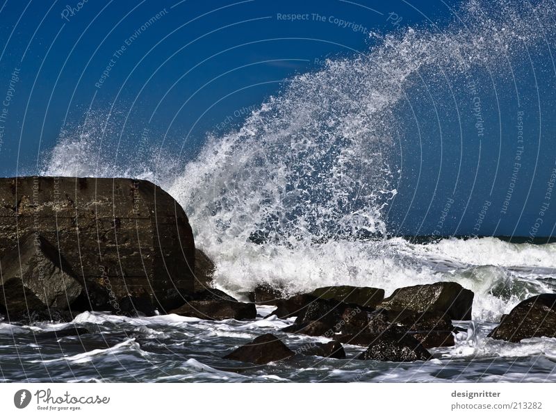 WUSCH! Wasser Wellen Strand Riff Nordsee Meer Brandung Gischt Buhne Mauer Wand Anlegestelle Bunker Stein Deich wild Kraft Macht Tatkraft Sicherheit Schutz