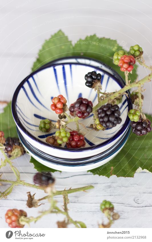 Brombeeren liegen in einer Schale Schalen & Schüsseln sammeln Farbfoto Ernährung Lebensmittel Gesundheit Frühstück Vegetarische Ernährung Frucht Diät frisch