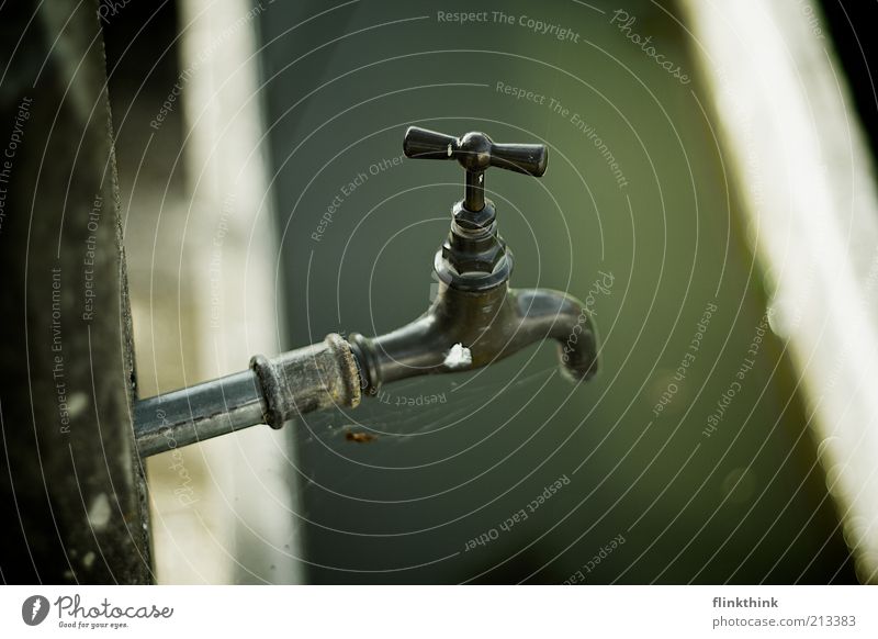 Wasserhahn Natur Metall grau grün Tropfen Lebensnotwendig Spinnennetz alt Farbfoto Außenaufnahme Detailaufnahme Menschenleer Textfreiraum oben