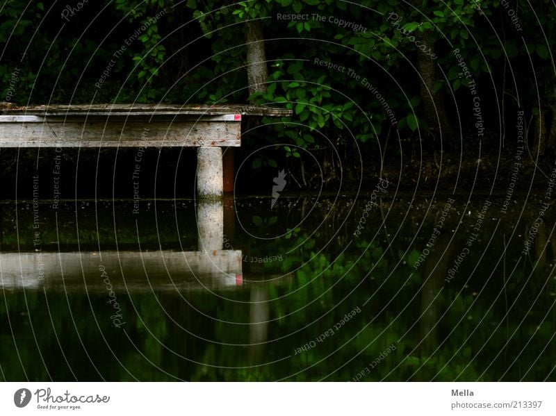 Dunkel Umwelt Natur Landschaft Wasser Seeufer Teich Steg Holz dunkel eckig Stimmung geheimnisvoll ruhig Bildausschnitt Wasserspiegelung Wasseroberfläche