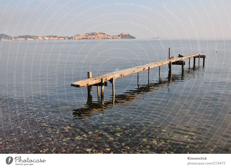 Steg im Morgenlicht Erholung ruhig Ferien & Urlaub & Reisen Sommer Sommerurlaub Meer Insel Landschaft Wasser Himmel Schönes Wetter Küste Bucht Porto Ferraio