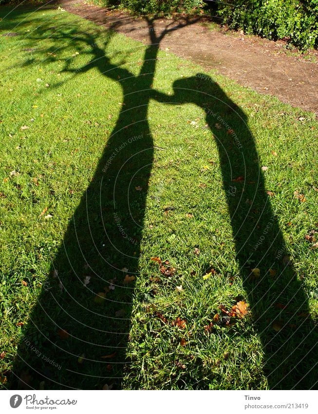 Schatten von Mensch, der sich an einem Baum abstützt Natur Wiese dunkel braun grün schwarz Endzeitstimmung Trauer Traurigkeit Vergänglichkeit Verzweiflung