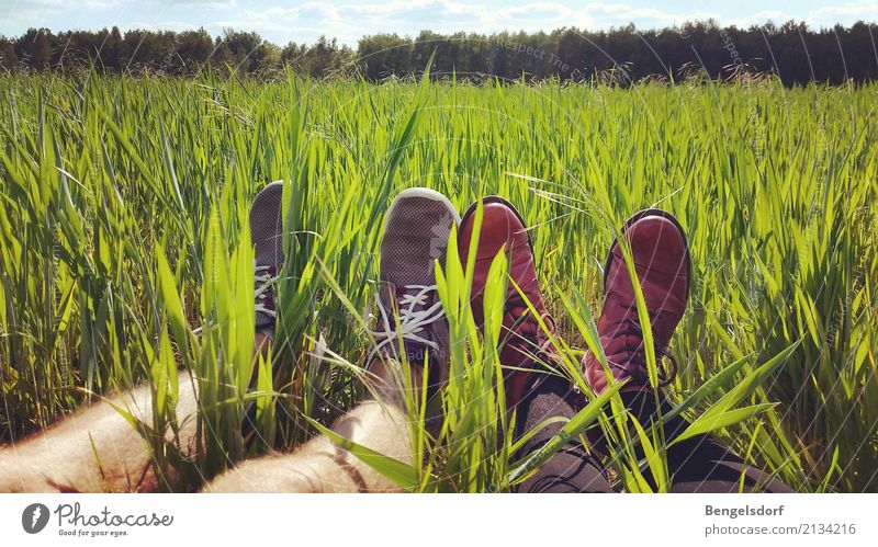 Pause im Feld Leben harmonisch Wohlgefühl Zufriedenheit Sinnesorgane Erholung ruhig Meditation Freizeit & Hobby Sommer Sommerurlaub Sonne wandern Mensch