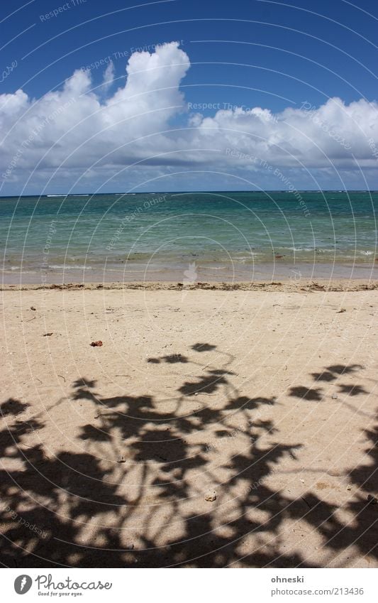 Schattiges Plätzchen Ferien & Urlaub & Reisen Tourismus Sommerurlaub Urelemente Luft Wasser Himmel Wolken Schönes Wetter Wellen Küste Strand Meer Zufriedenheit