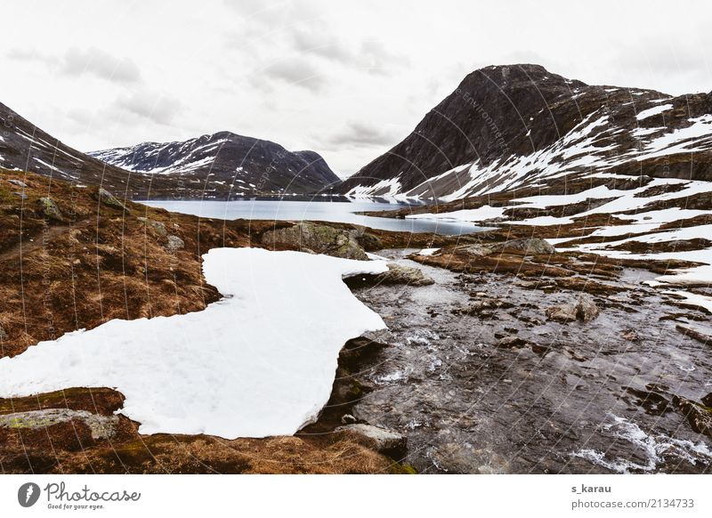 Gletscherlandschaft Ferien & Urlaub & Reisen Abenteuer Freiheit Expedition Schnee Berge u. Gebirge wandern Natur Urelemente Wasser Felsen Gipfel