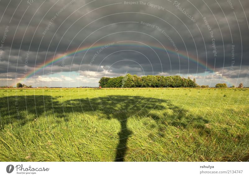 Regenbogen- und Baumschatten auf grüner Wiese Natur Landschaft Himmel Wolken Sommer Wetter Schönes Wetter Unwetter Gras Feld farbenfroh Weide ländlich Grasland