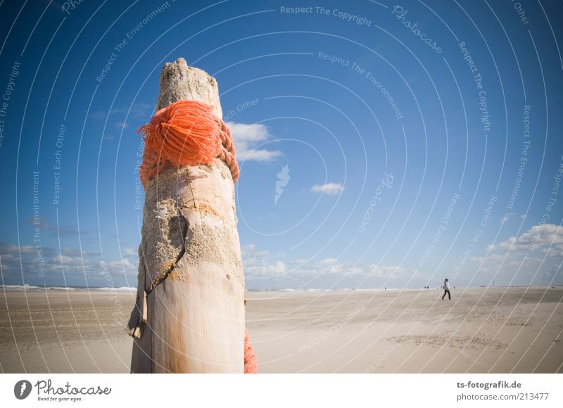 Hollandtag auf Norderney I Ferien & Urlaub & Reisen Ferne Freiheit Sommer Sommerurlaub Sonne Strand Meer Insel Wellen Sand Wasser Himmel Wolken Schönes Wetter