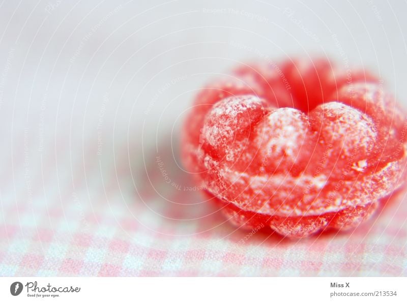 Himbeerbonbon Lebensmittel Süßwaren Ernährung klein lecker rund sauer süß rosa Himbeeren Bonbon Zucker fruchtig Farbfoto mehrfarbig Studioaufnahme Nahaufnahme