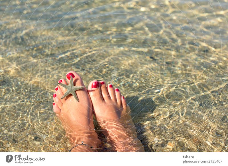 Am Strand exotisch schön Nagellack Erholung Ferien & Urlaub & Reisen Sommer Meer Dekoration & Verzierung Tapete Frau Erwachsene Natur Sand natürlich blau Farbe