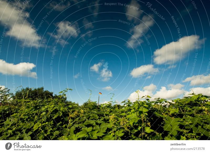 Himmel, Hecke, Deutschlandfahne Garten Umwelt Natur Wolken Sommer Klima Klimawandel Frühlingsgefühle Hoffnung August Fahne Deutsche Flagge