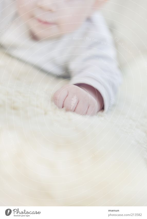 Fäustling Baby Kindheit Arme Hand Finger 0-12 Monate liegen authentisch hell klein natürlich niedlich Wärme weich Fröhlichkeit Zufriedenheit Gefühle Leben