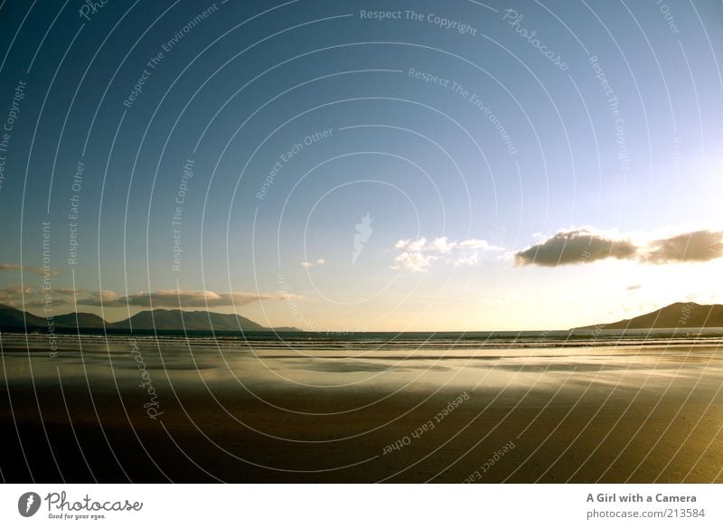 Golden Inch Natur Landschaft Sand Luft Wasser Himmel Sonnenaufgang Sonnenuntergang Sommer Schönes Wetter Strand Meer außergewöhnlich Coolness glänzend gold