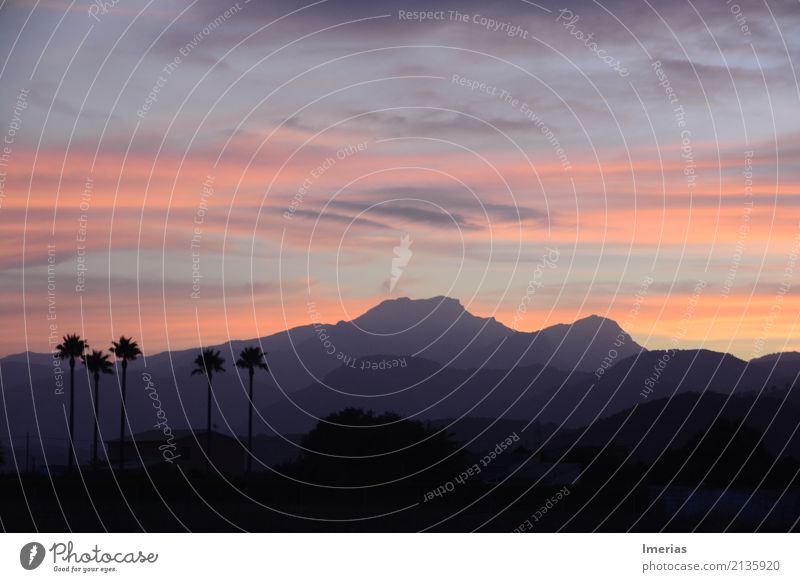 Shades of Mallorca Natur Landschaft Himmel Wolken Horizont Sonnenaufgang Sonnenuntergang Sommer Palme Feld Berge u. Gebirge Wolkenformation Wolkenschleier Dorf