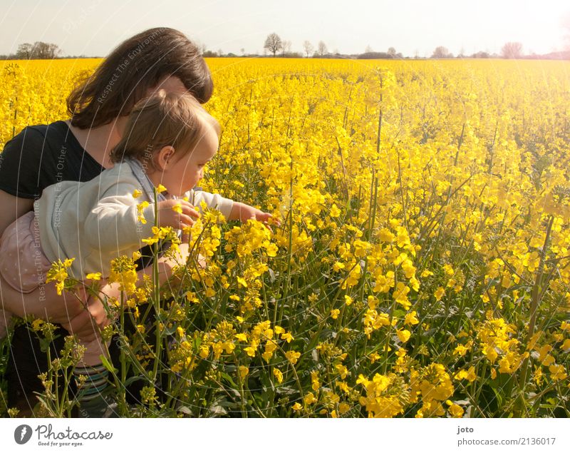 Rapsvergnügen Ferien & Urlaub & Reisen Sommerurlaub Kindererziehung Bildung lernen Kleinkind Junge Frau Jugendliche Mutter Erwachsene 1-3 Jahre Natur Frühling