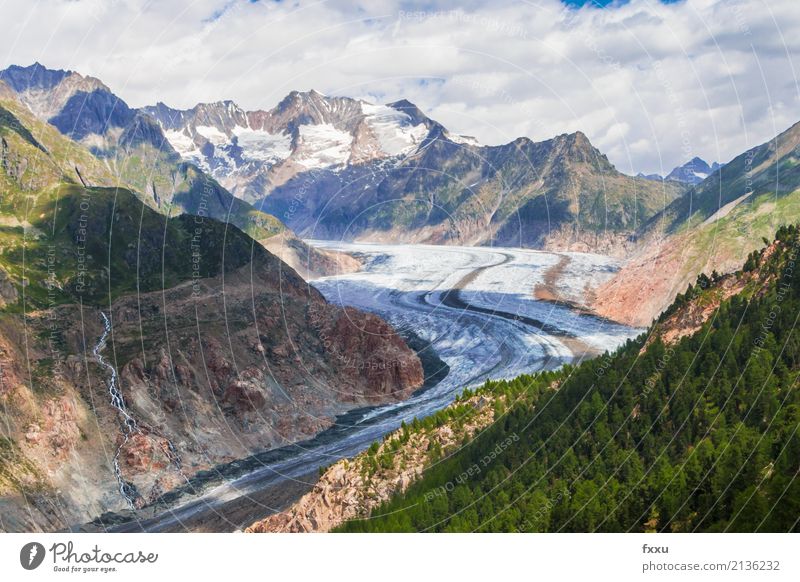 Grosser Aletschgletscher Gletscher wandern Schweiz groß eisgigant Klima Klimawandel Kanton Wallis Berge u. Gebirge Alpen Hochgebirge riederalp