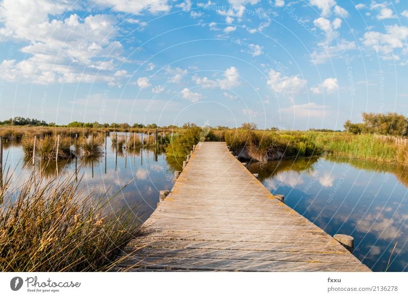 Holzsteg in der Camargue Natur Landschaft Wasser Moor Sumpf saintes maries de la mer Arles Frankreich Europa Brücke Steg beobachten genießen wandern ästhetisch