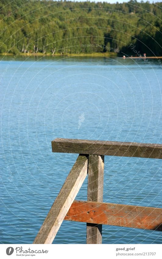 Luft: 20°C, Wasser: 10°C:...beste Bedingungen zum Baden Umwelt Natur Landschaft Pflanze Himmel Sommer Schönes Wetter Grünpflanze Wald Wellen Seeufer Flussufer