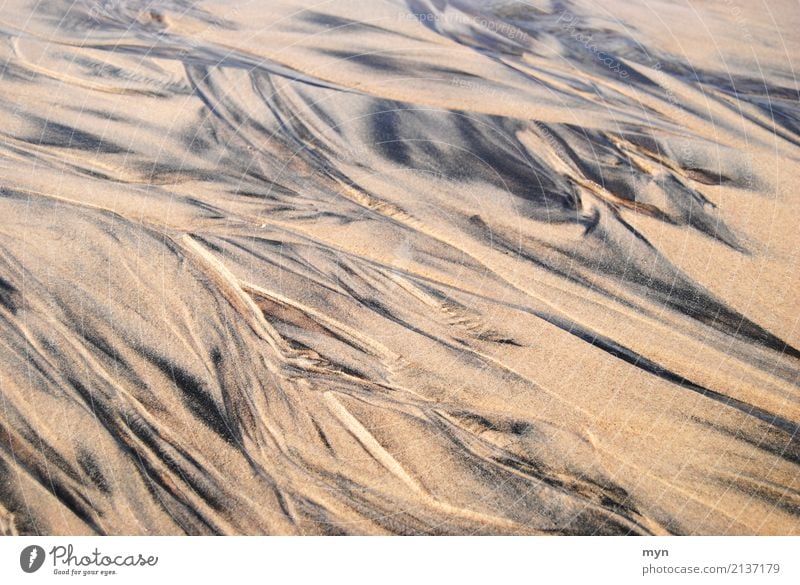 Muster im Sand Ferien & Urlaub & Reisen Tourismus Abenteuer Ferne Sommer Sommerurlaub Sonnenbad Strand Meer Umwelt Natur Landschaft Urelemente Erde Wellen Küste