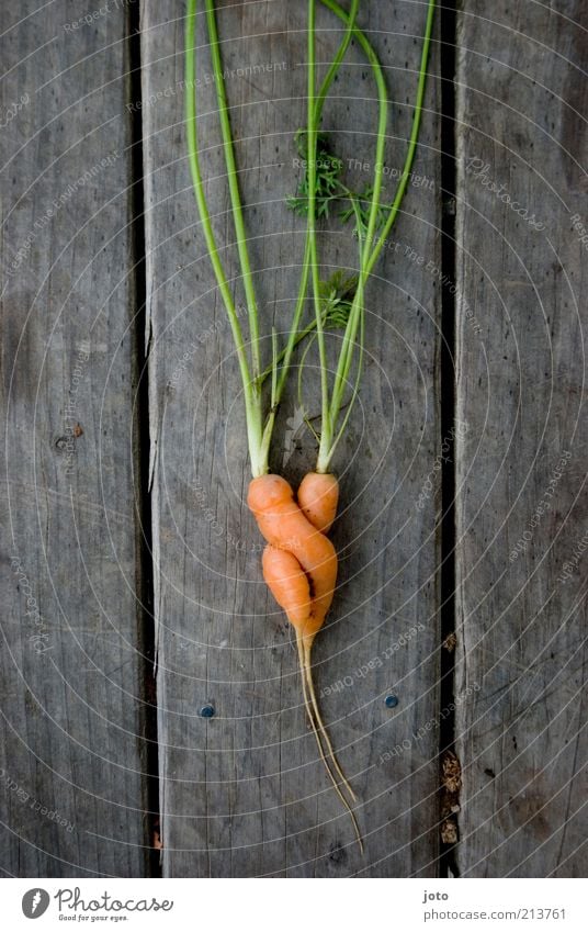 Symbiose Lebensmittel Gemüse Vegetarische Ernährung Gesundheit Gesunde Ernährung Wohlgefühl Garten Paar Natur Sommer frisch lecker nachhaltig süß Zufriedenheit