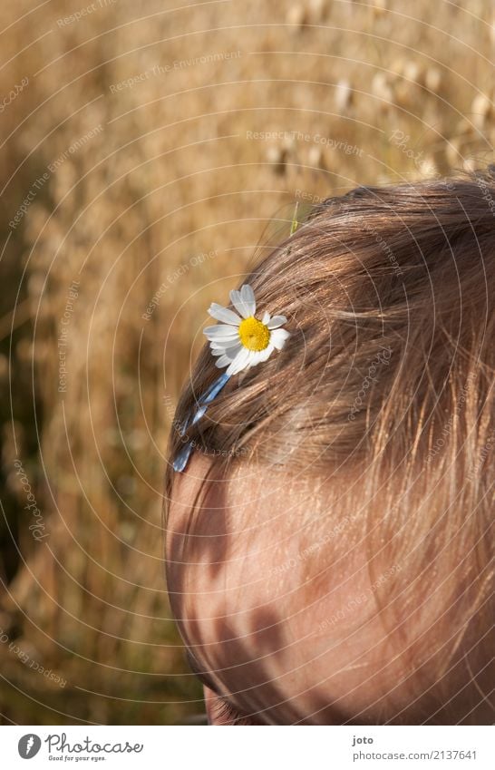 Gänseblümchen Freude schön Haare & Frisuren Leben Erholung Freizeit & Hobby Ferien & Urlaub & Reisen Ausflug Freiheit Sommer Sommerurlaub Kind Kleinkind Mädchen