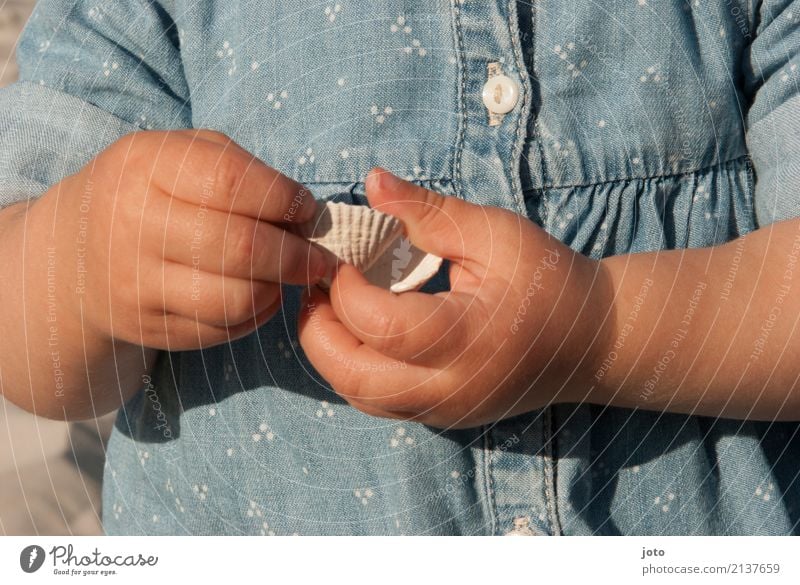 Muschelsammlung Freude Zufriedenheit Spielen Ferien & Urlaub & Reisen Ausflug Sommer Sommerurlaub Strand Kindererziehung Bildung lernen Kleinkind Mädchen